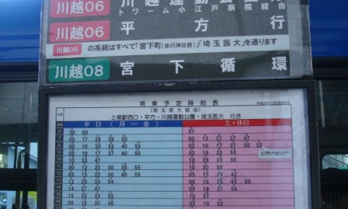 减脂肪操-减脂肪操专区_减脂肪草药图片大全专区_减脂肪草药图网
